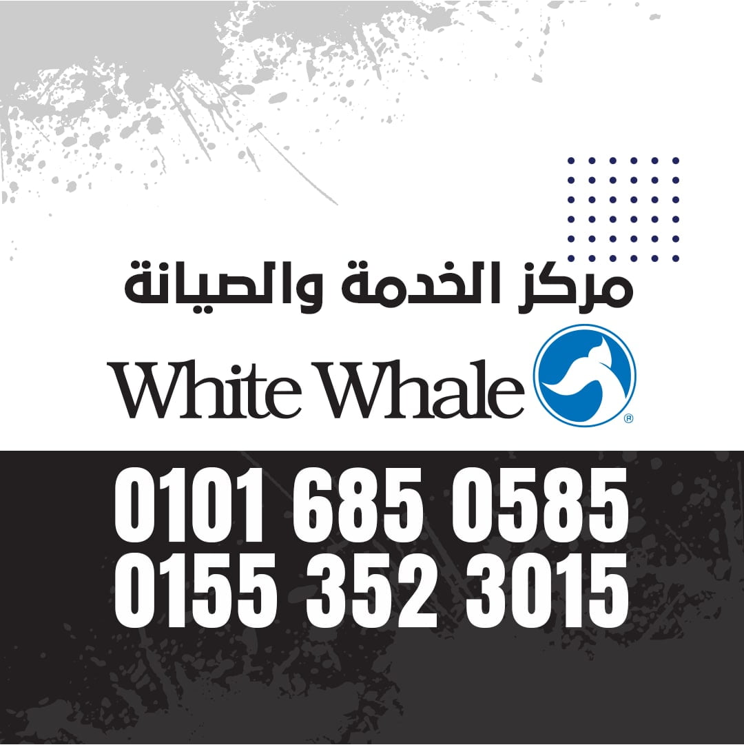 ارقام وايت ويل 01016114555 White Whale